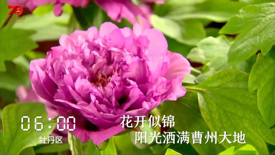 1天24小时菏泽在发生什么