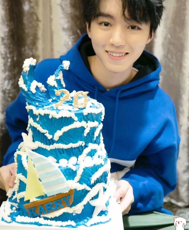 王俊凯"生日蛋糕"遭曝光,设计超级梦幻,寓意更是特别的有心_网友