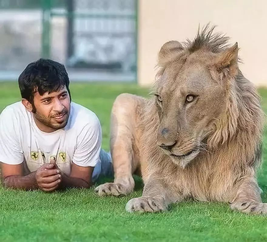 去了迪拜才知道,我跟土豪差得不止是钱……_宠物