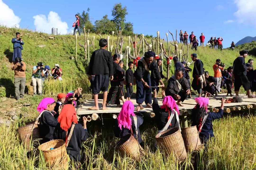 十一长假就去中国佤族新米节狂欢派对