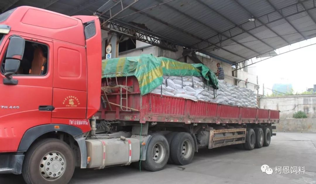 装有30多吨鸭料的平板大货车就这样直发市场了!_饲料