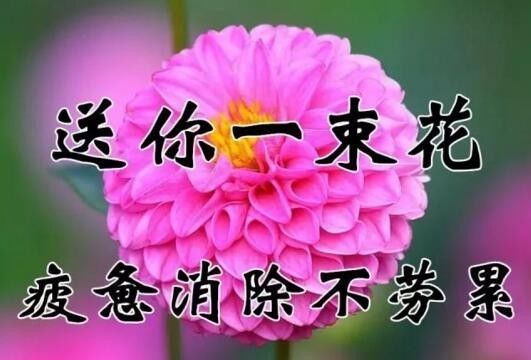 祝你幸福!健康!快樂!