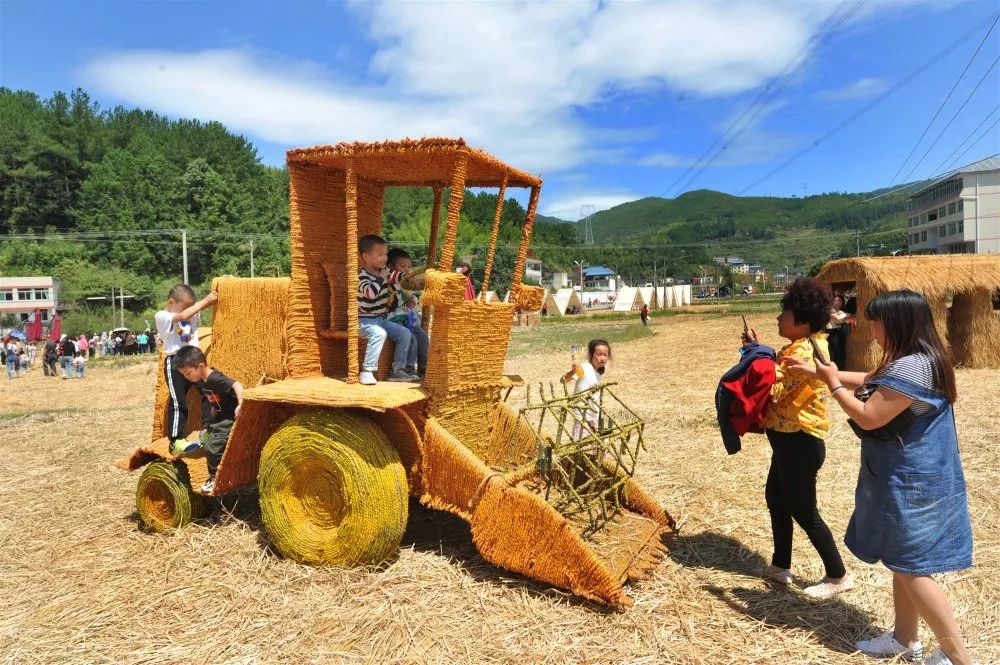 永泰首届耕读文化艺术节暨2019年农民丰收节举行_稻田