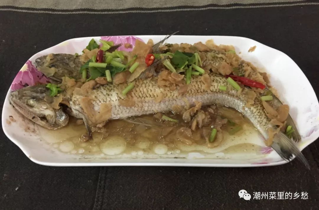 癞哥鱼不是那哥鱼