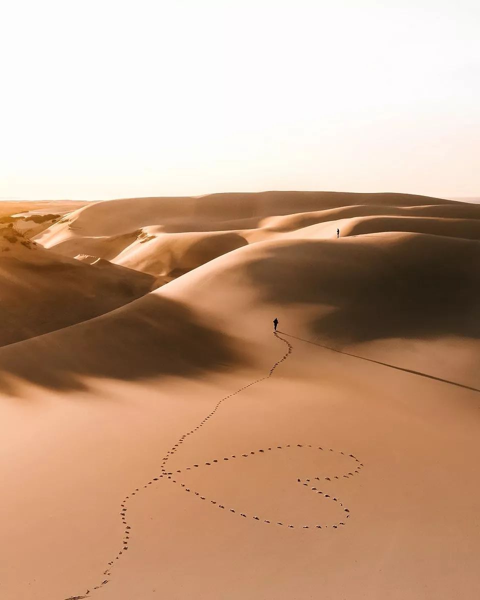 30张直击人心的照片告诉你真爱无处不在