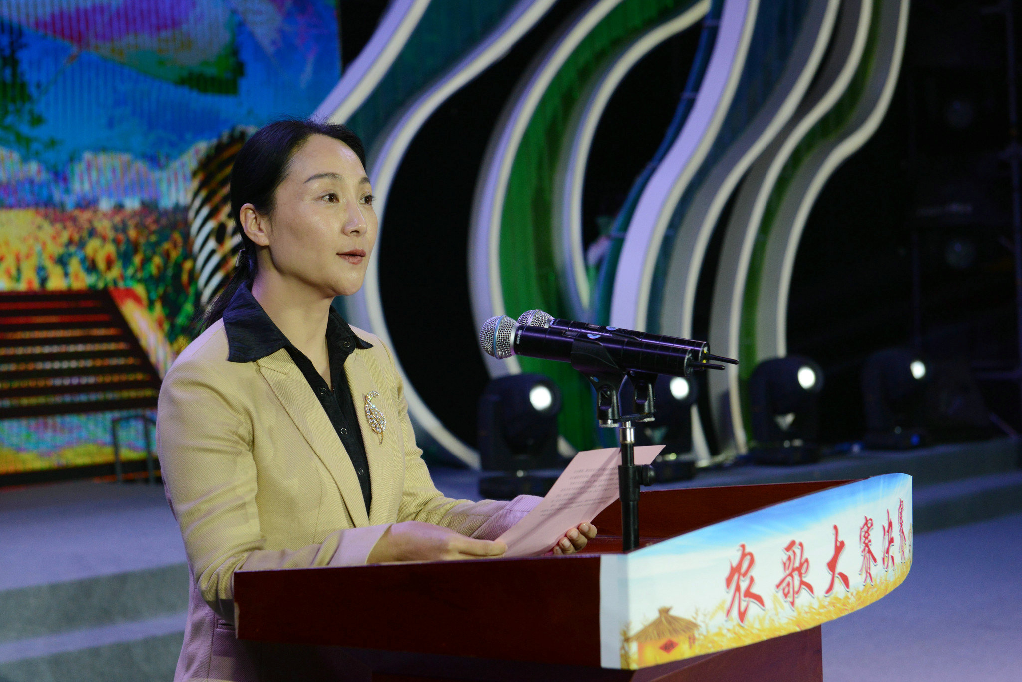 陕西省第二届"乡村振兴美丽家园"农歌大赛成功举办