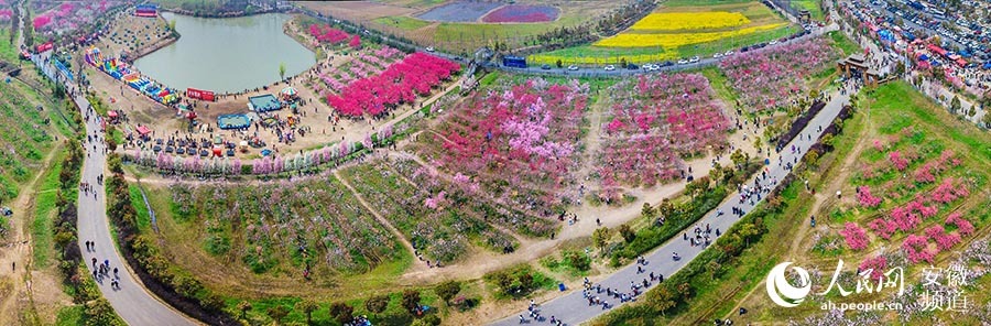 三十岗乡桃花节