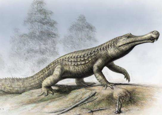 草食恐龙的噩梦不仅仅是食肉恐龙,这个家伙也很牛!