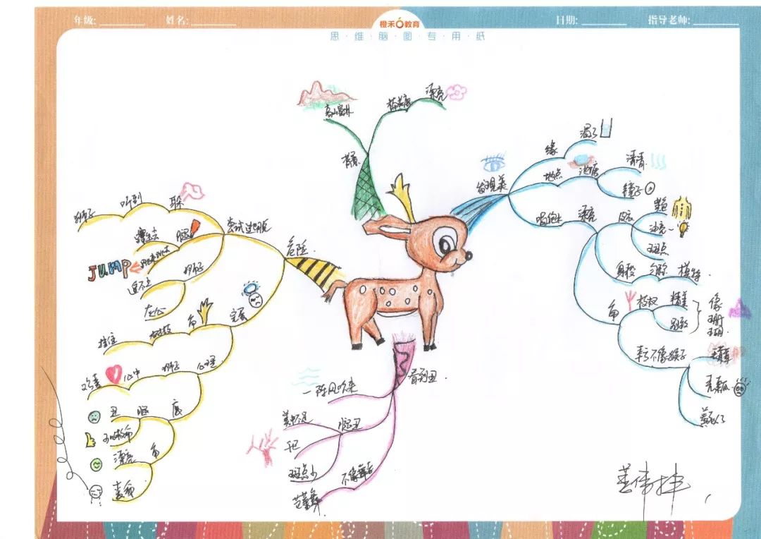 小鹿斑比思维导图高清图片