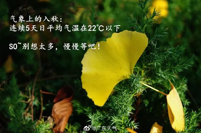 广东入秋的平均时间要到10月,11月常年入秋进程图显示不过,广东的秋天