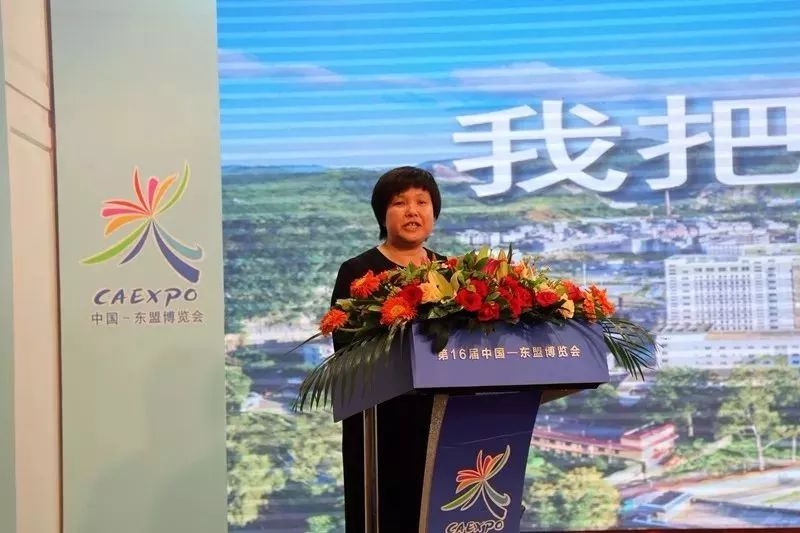 手提礼品百色12位书记县长齐刷刷来南宁送礼