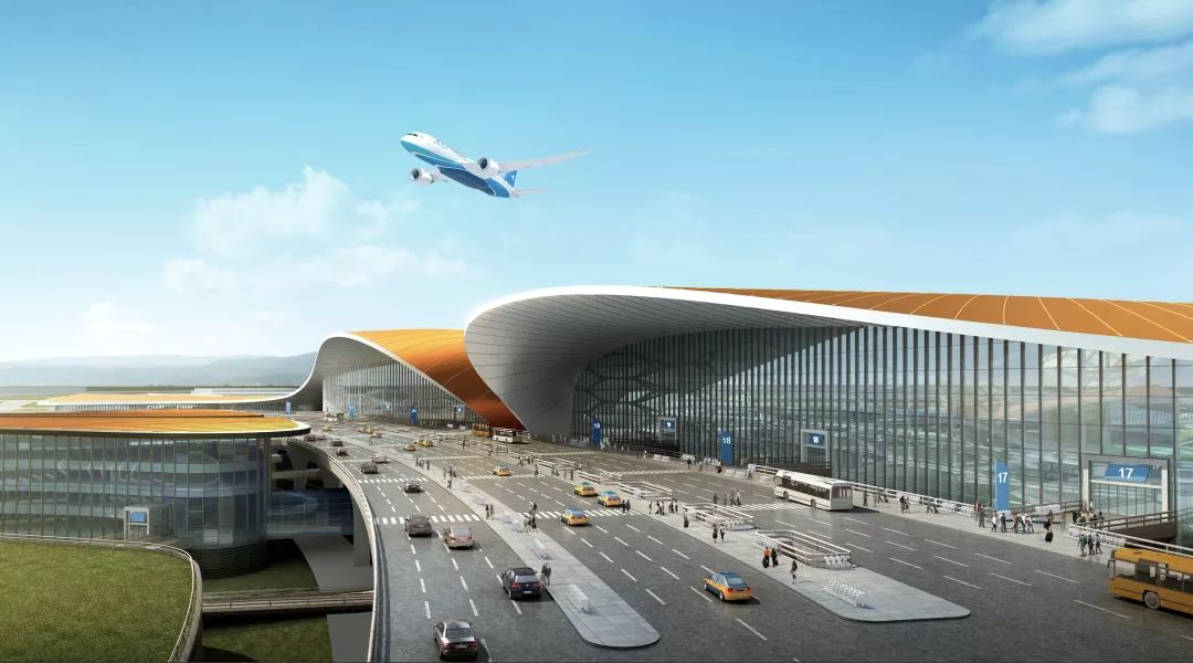 白鹭 白鲸=快捷优惠就选大兴机场出行!