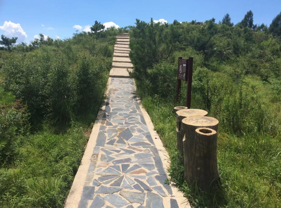 所属的东村是北京海拔最高的村子,景区内有一条独特的蒲洼山脊游步道