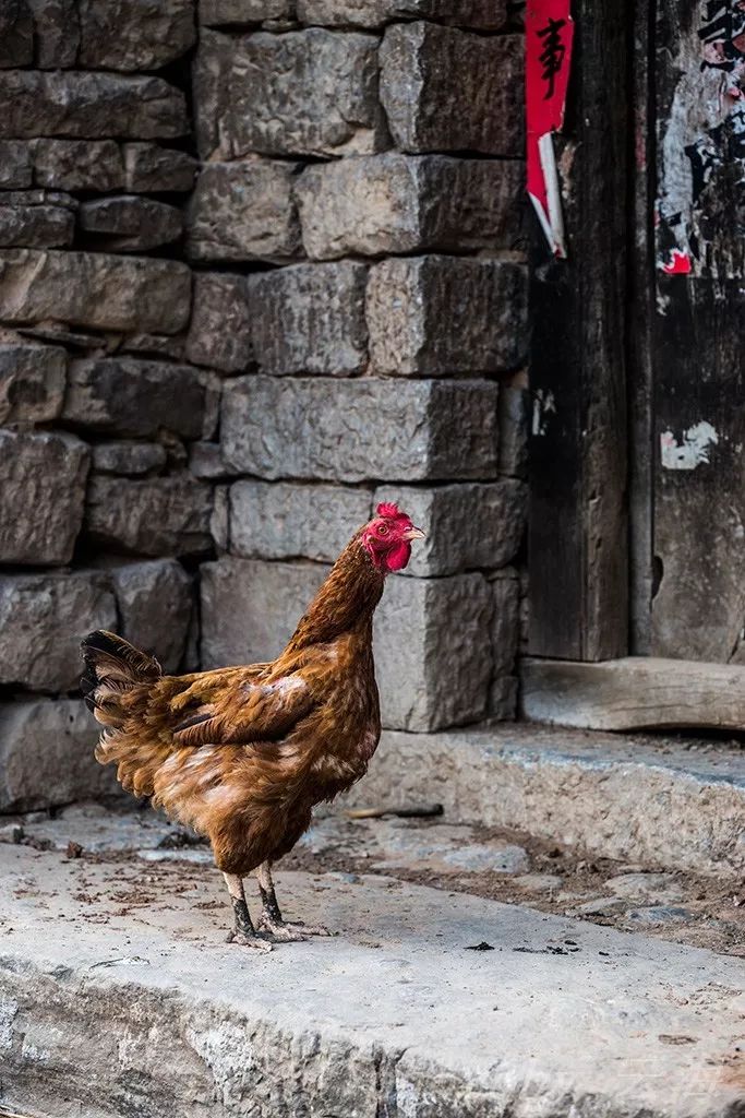 乐拍临朐省级传统村落北黄谷村