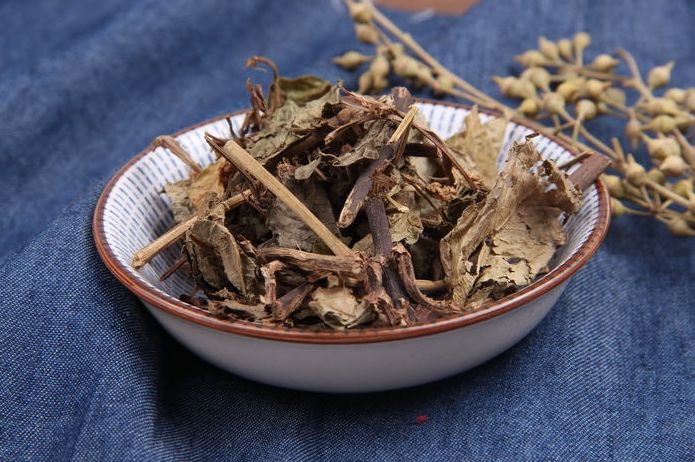 每天学一味中药火炭母