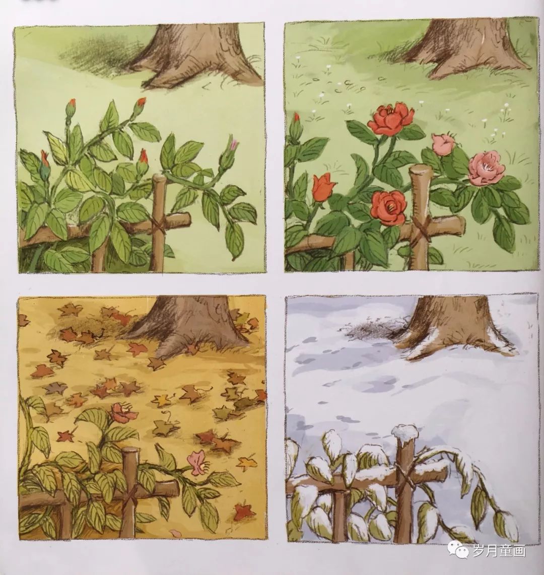 诺妈给娃读绘本の菊花娃娃