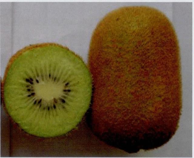 猕猴桃新品种农大郁香栽培技术_果实