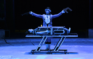 吃喝玩乐看这里!俄罗斯大马戏空降袁家村_杂技节