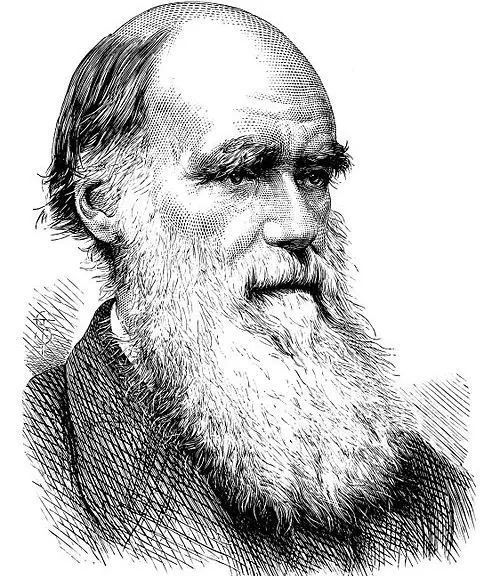 1809年2月12日-1882年4月19日charles robert darwin查尔斯·达尔文