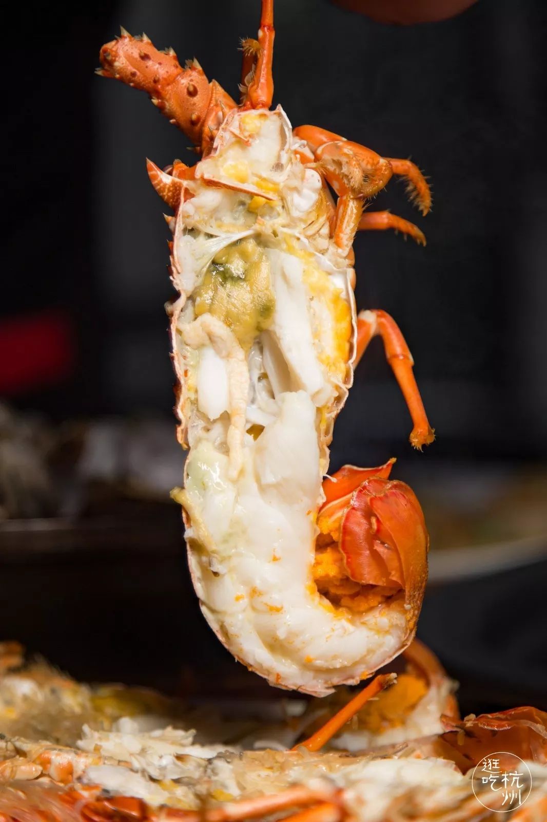 价值648元豪华海鲜套餐免费送小青龙四不像跳舞花蛤生猛海鲜放肆吃