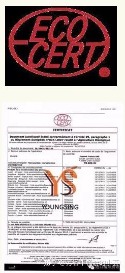 全球权威有机认证有哪些 如何辨别有机精油 标志