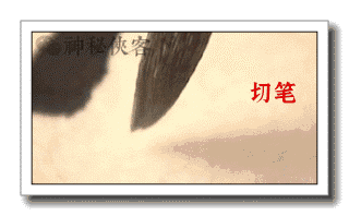 320_198gif 动态图 动图