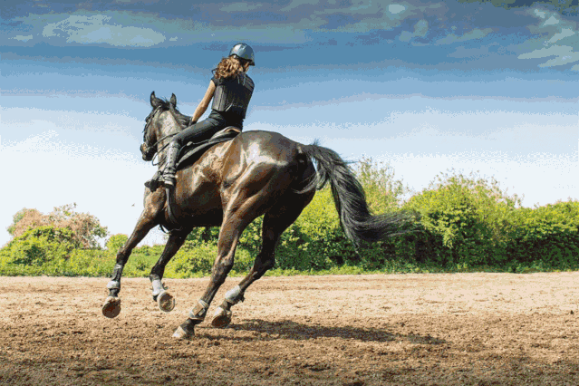 骑马的体验来大洋旅游度假区不必去到远方04自由活动各位看官届时切勿