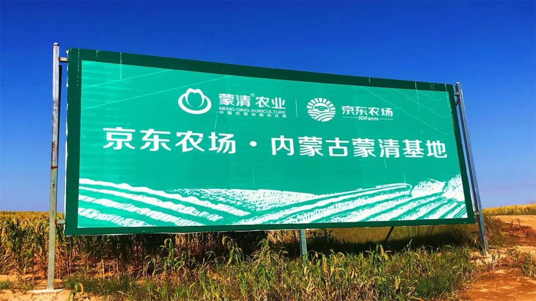 精准扶贫蒙清小香米谷子喜获丰收创新模式助力精准扶贫