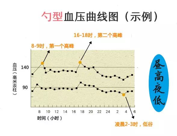 大部分人24小时内的血压变化规律是呈勺型的,即血压呈两峰一谷的