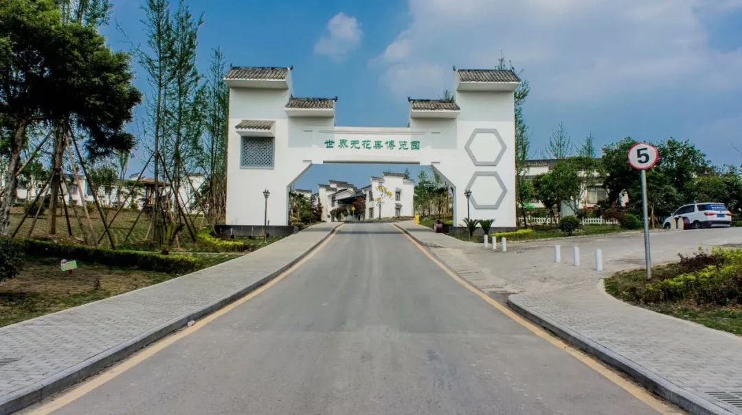 四川内江威远无花果基地