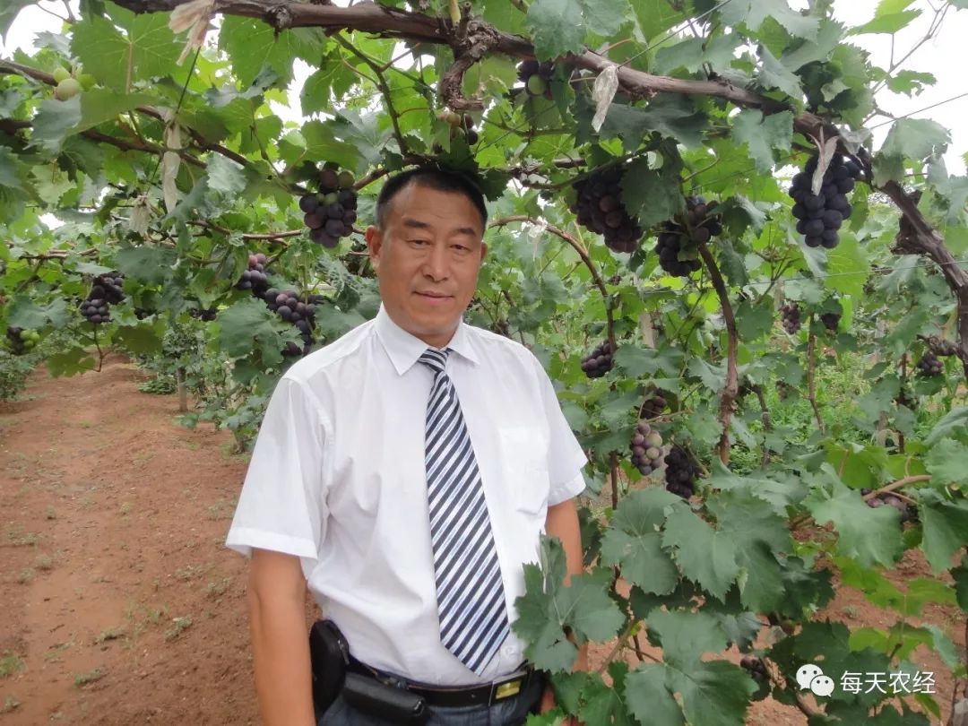 田丞相第三十八届高级农艺师桃葡萄培训开班通知