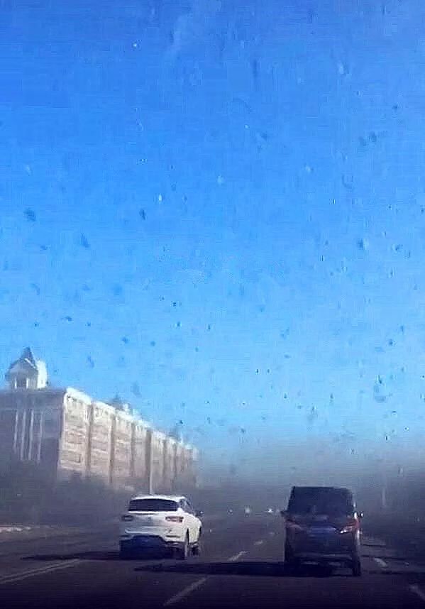 呼伦贝尔满洲里成群的小咬涌入街头黑压压一片太渗人