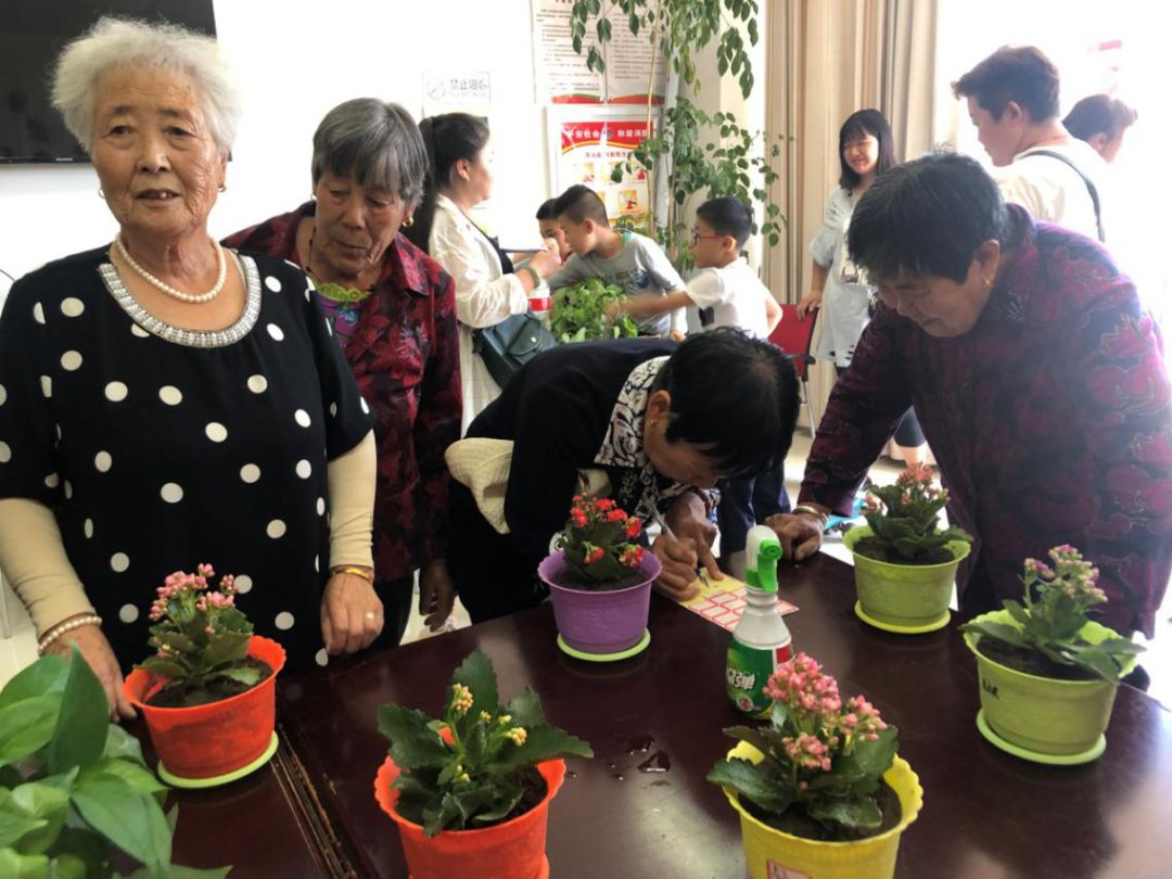 园艺论坛：绿色空间里的智慧碰撞