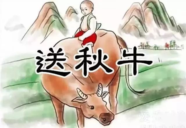 【秋分】| 中华传统文化启蒙课(第二季)—走进四季节气的世界!_秋牛