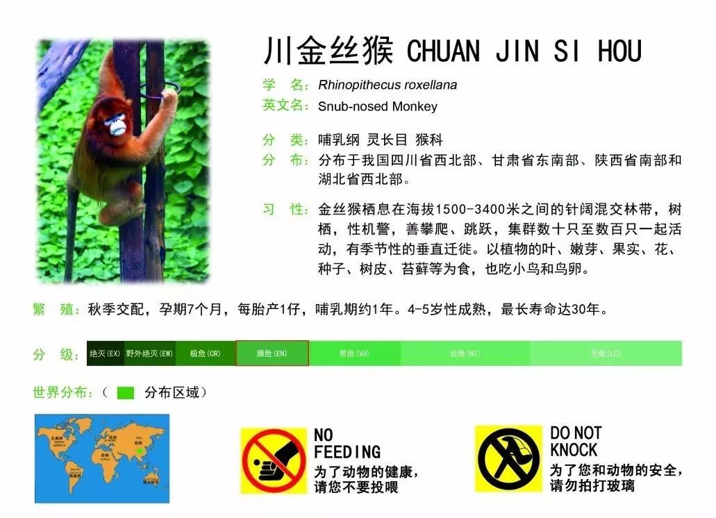 新版动物名片北京动物园动物说明牌上新了