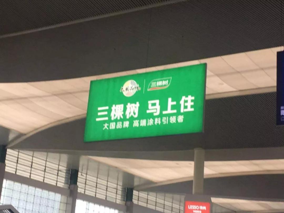 经典广告语三棵树马上住是如何成为超级广告语的