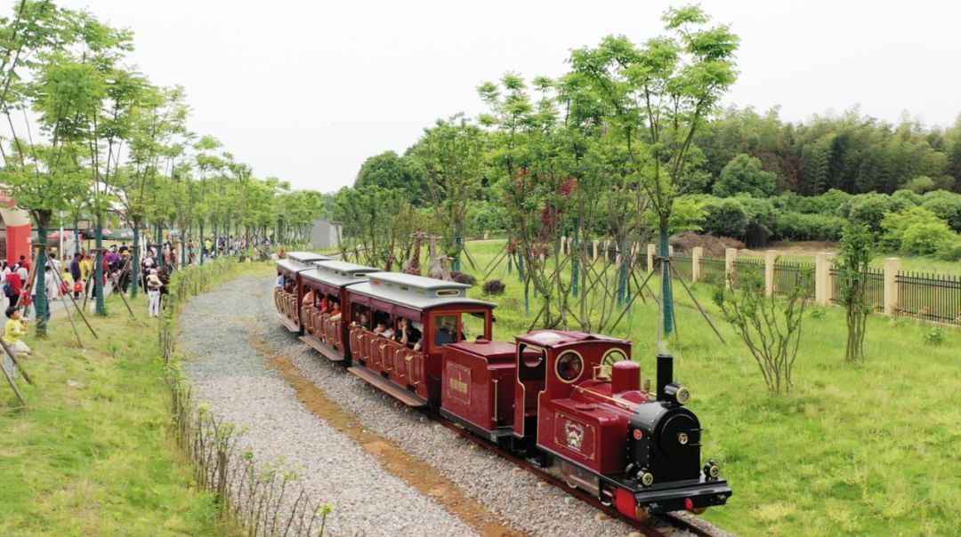 離新密不遠的鄭州松鼠部落森林假日公園很好玩兒國慶就帶孩子去這兒了