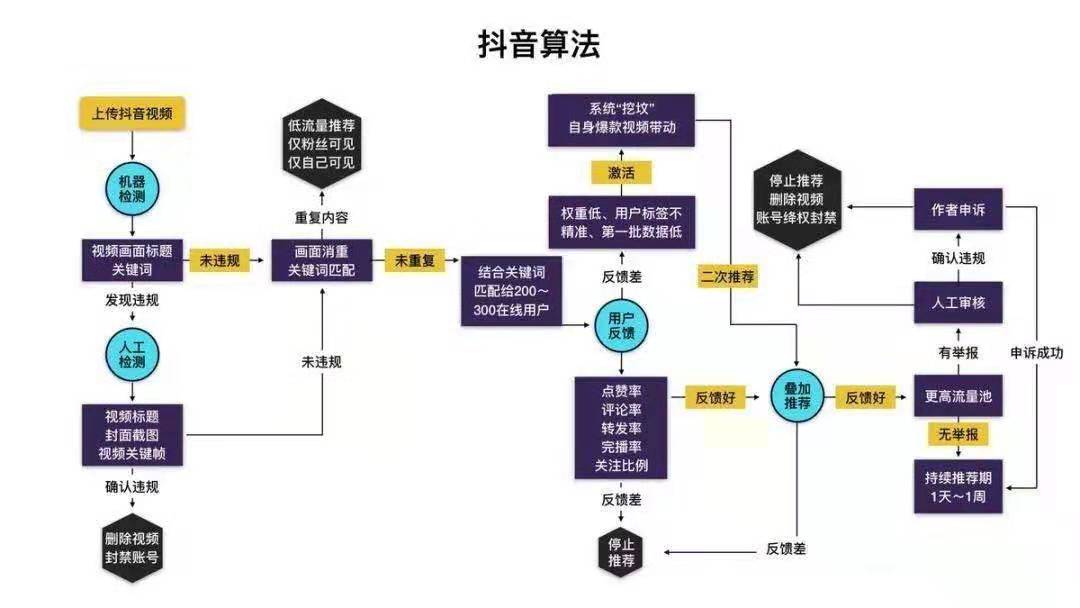 掌握四大抖音運營攻略抖音變現沒你想的那麼難