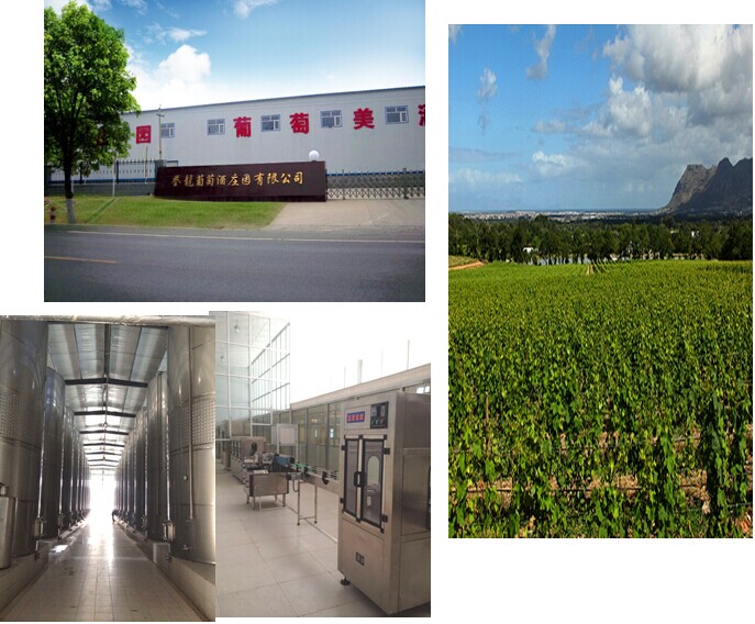 怀来沙城产区精品酒庄推广系列报道之八听音乐长大的葡