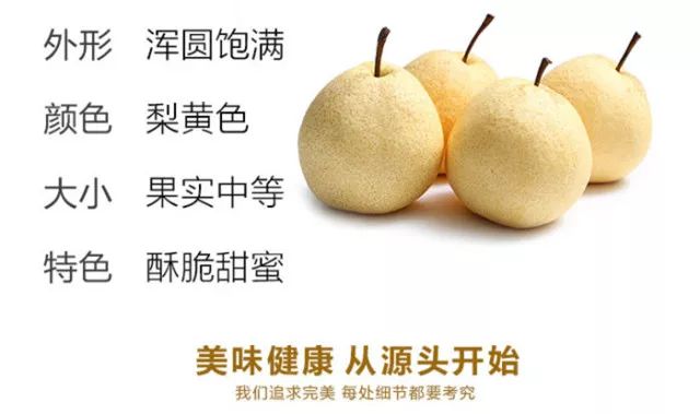 超闪上新酥脆水润的同川酥梨清甜爆汁瞬解秋燥