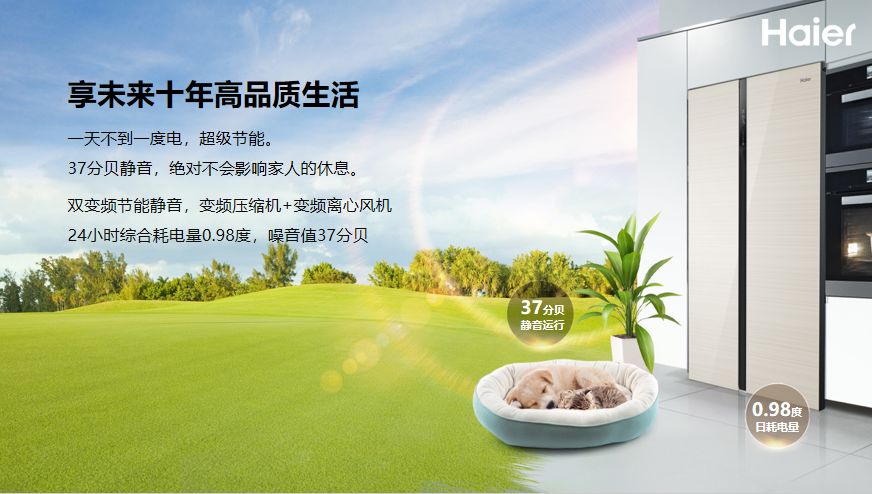 海尔bcd-539wdco冰箱