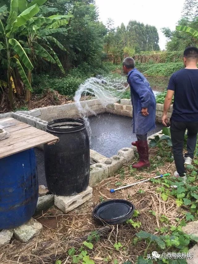 沼液快速处理新技术广西崇左市政府能源办邀请广西助农公司进行沼气