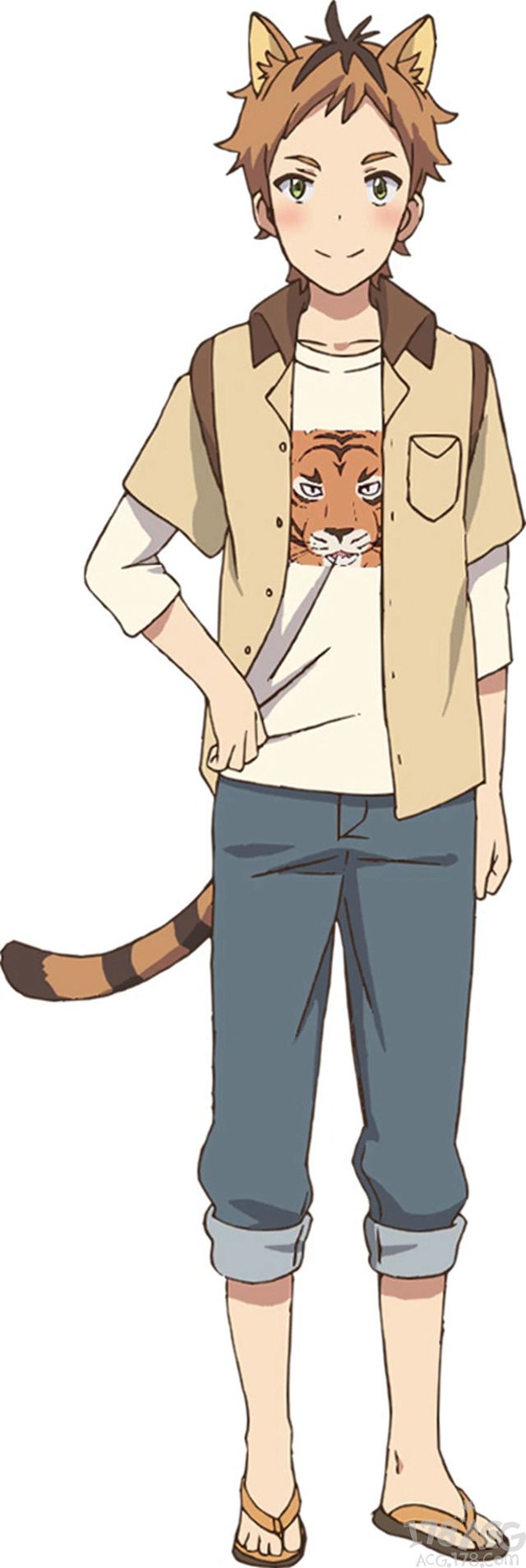 tv动画uchitama猫狗宠物街主视觉图公开