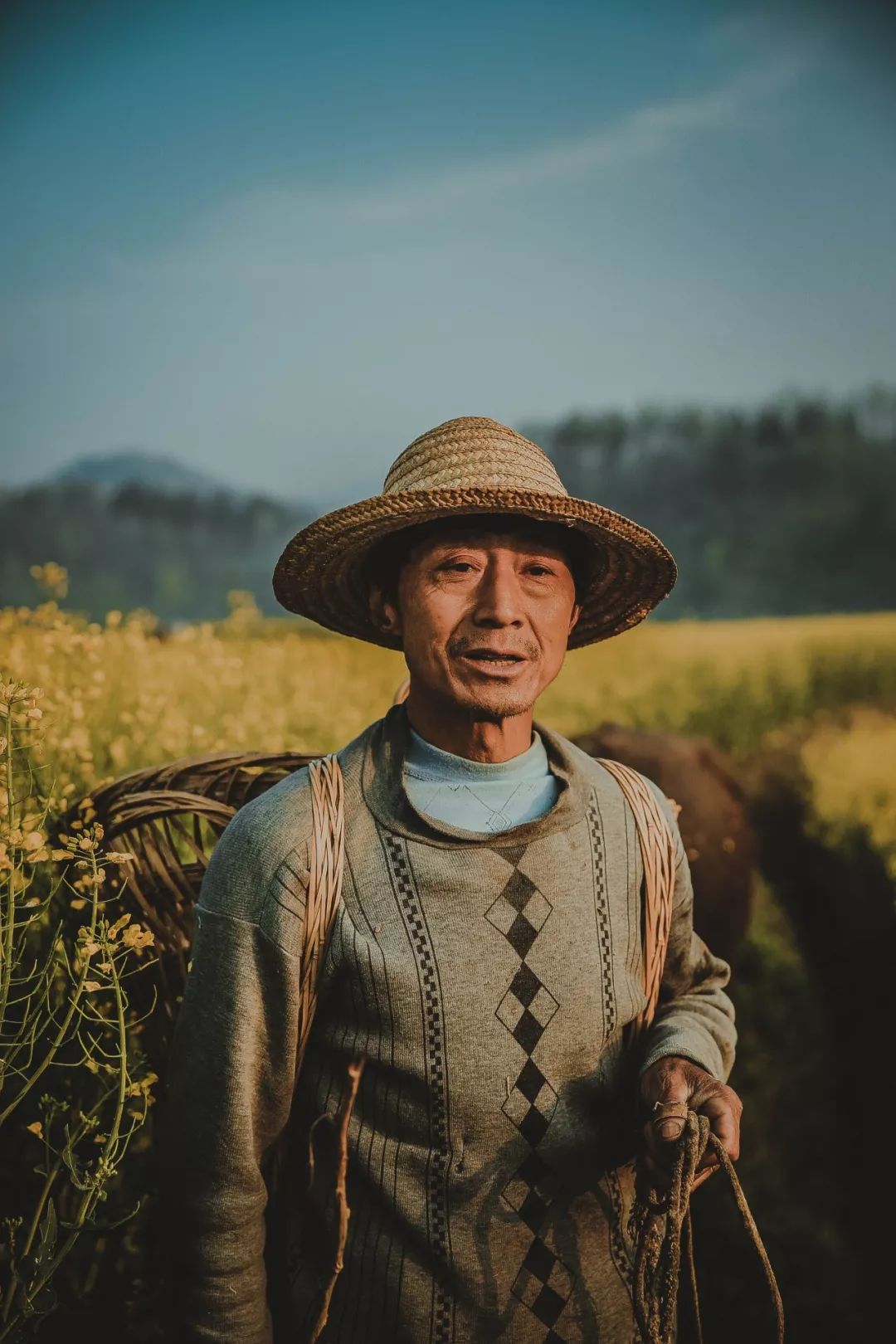 李菁| 陕南:放牛人的春天