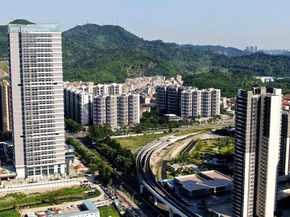 原创南沙金洲"遍地芭蕉"摇身一变"高楼耸立"