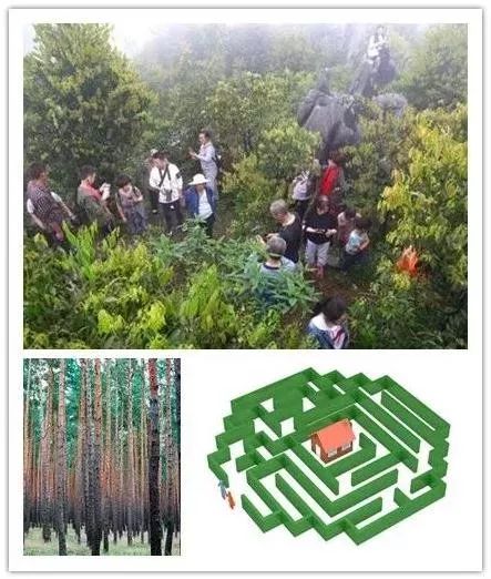 预售开启299元抢蜗牛部落门票国庆出行必买大人小孩通用