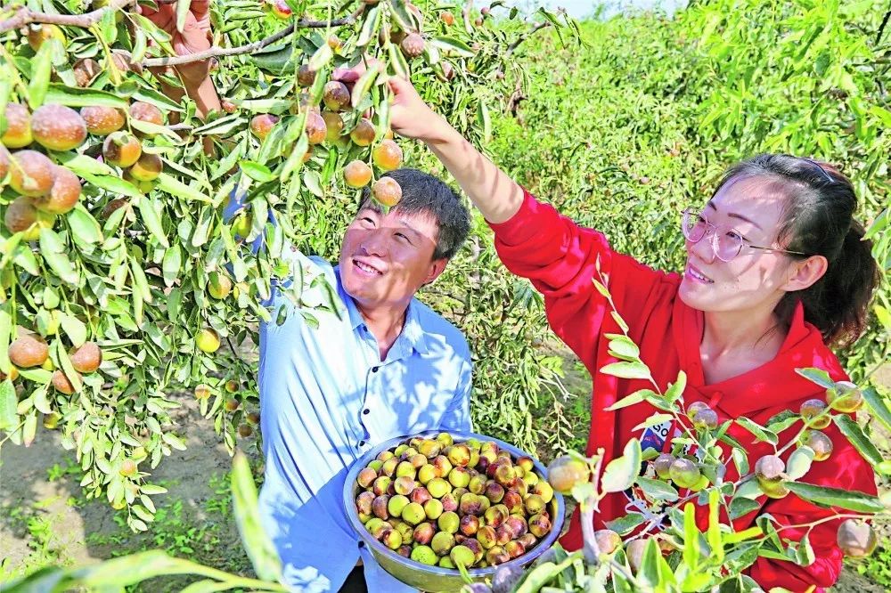 中國農民豐收節天山南北曬幸福