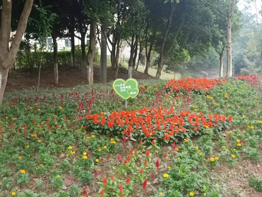 三星街道開展社區花園微景觀打造活動