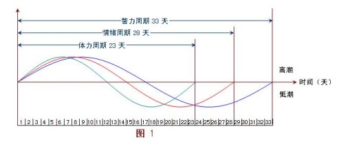 男人,每月都来的大姨父!