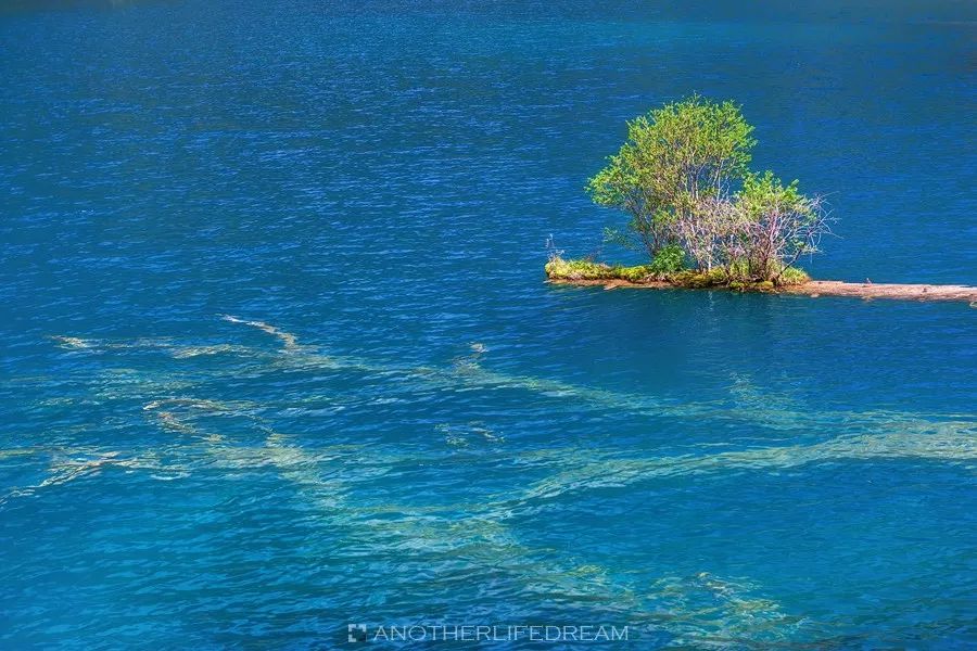 瀑布,五花海,孔雀河道,金铃海,珍珠滩,珍珠滩瀑布,镜海,诺日朗群海等